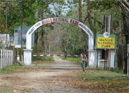 Manas Wildlife Sanctuary